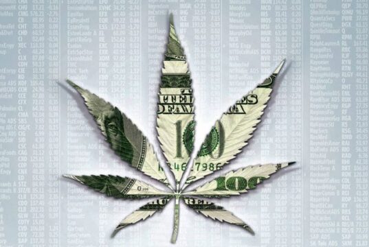 Marijuana Industry Stocks: Many Business Range but One Common Theme